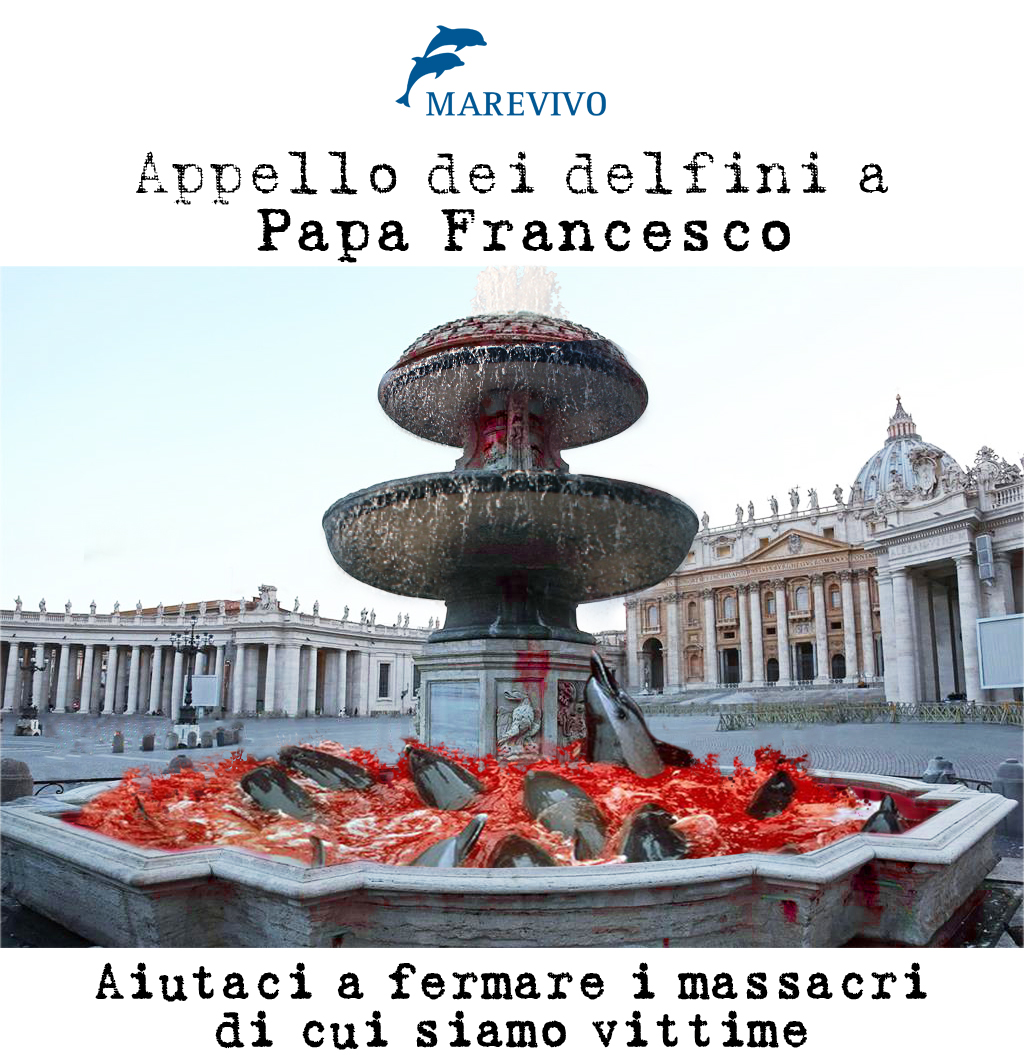 appellodelfini