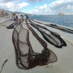immagine panoramica rete e porto di Messina