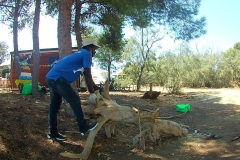 SPRAR-ACUARINTO-3