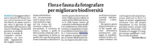 gds del 28 aprile 2025