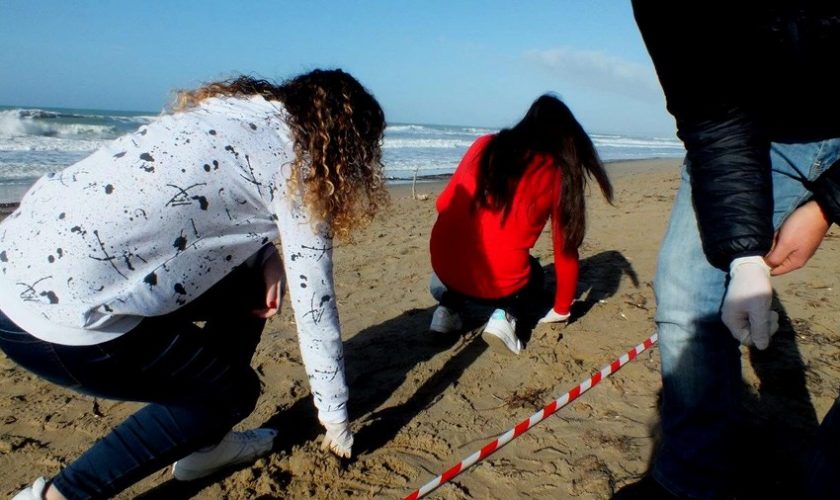 Beach litter