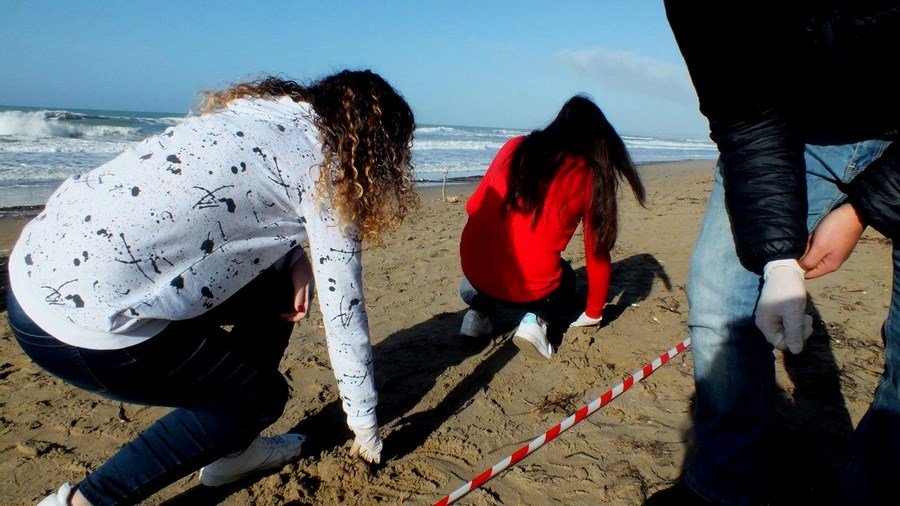 Beach litter