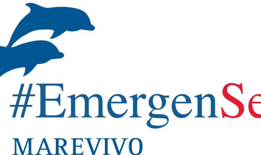 logo_emergensea_def_contorno