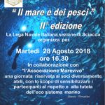 il mare è dei pesci (1)