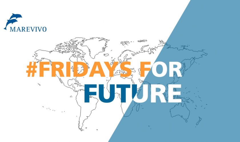 fridayforfuture