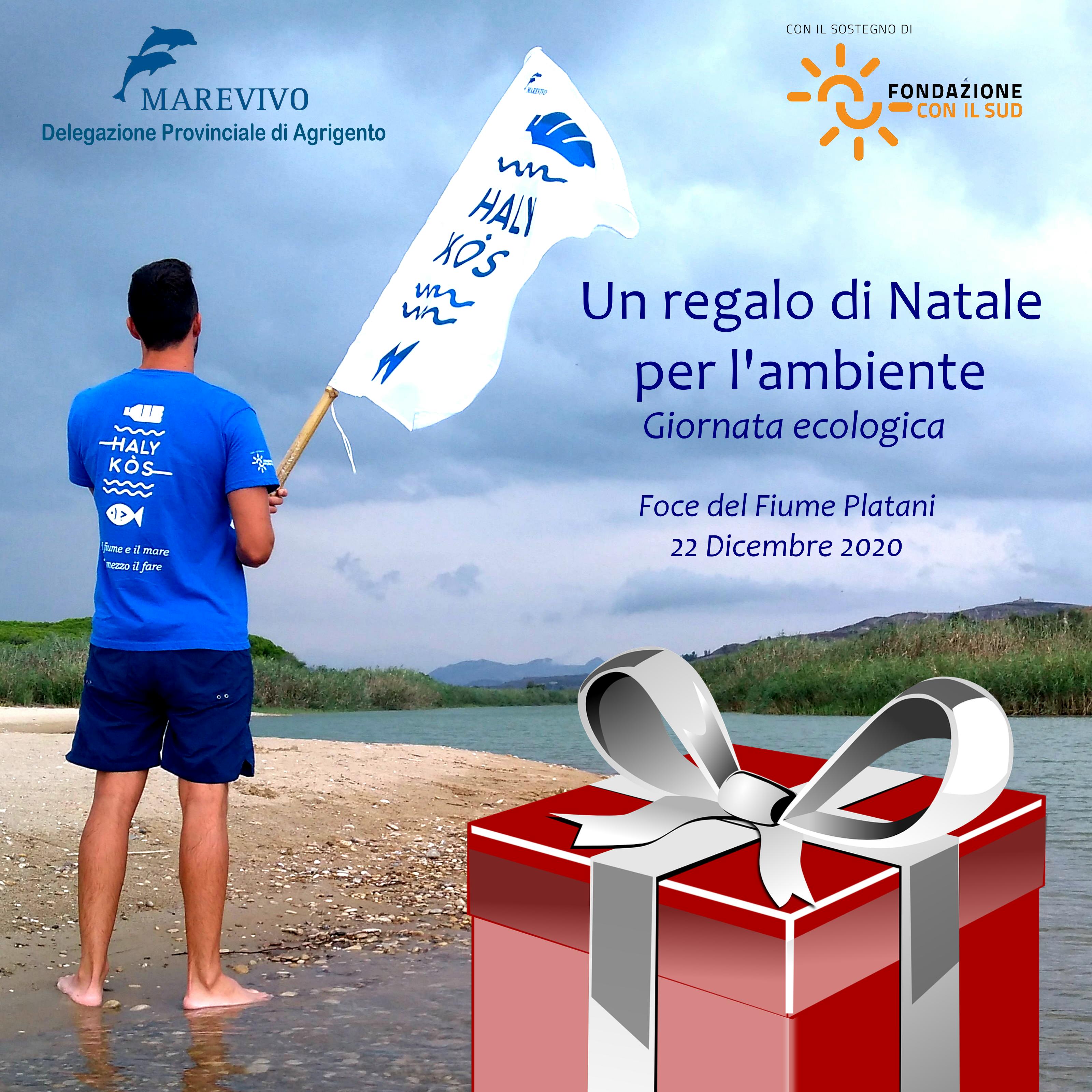 regalo di Natale