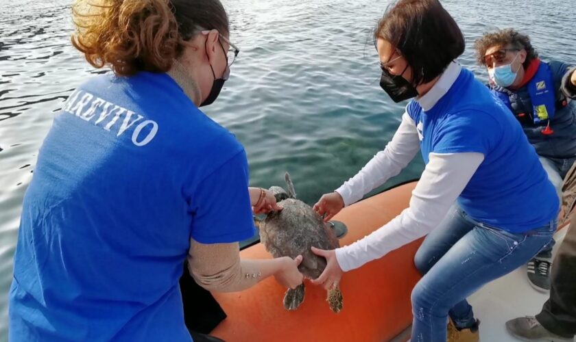 Liberazione Milazzo 4 Marzo (19)