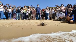 foto liberazione tartaruga