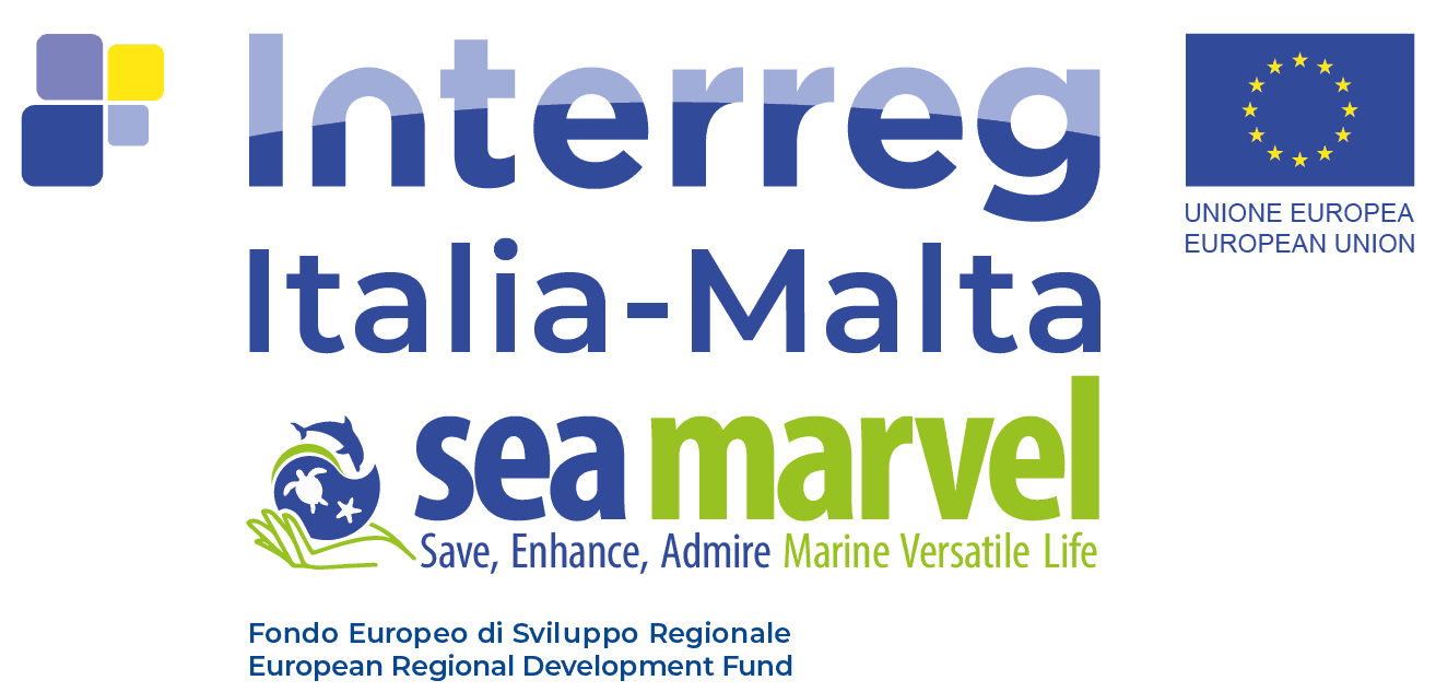 INTERREGMARCHIO-ORIZZONTALE-e1659534488226