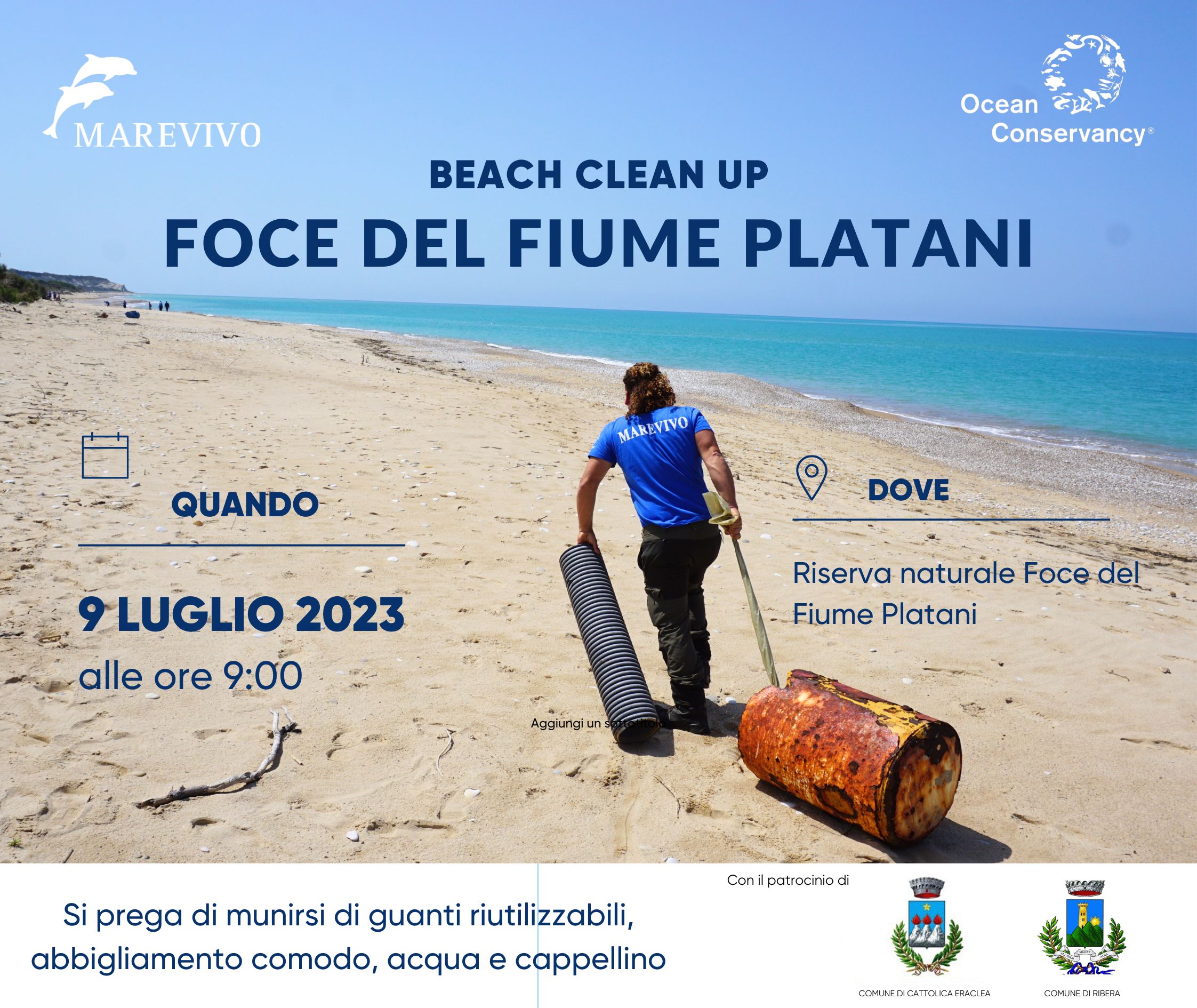 Pulizia 9 Luglio 2023