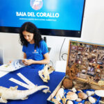 Baia del Corallo (4)