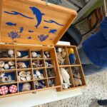Adotta una spiaggia (3)