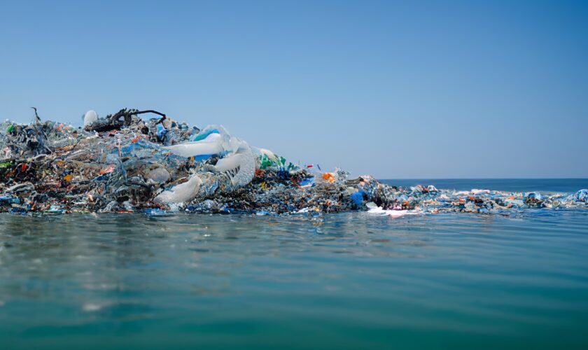 mare inquinato plastica